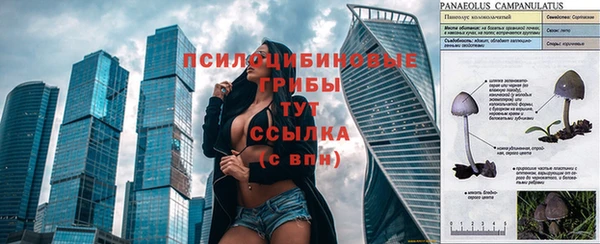 альфа пвп Верхний Тагил