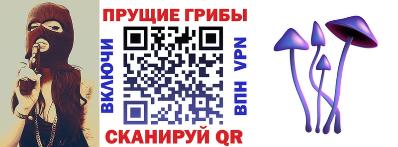 Галлюциногенные грибы Psilocybe  Сочи 