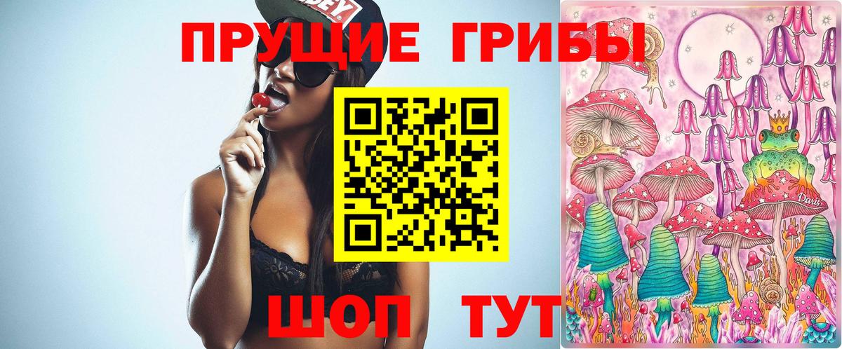 Сочи  Галлюциногенные грибы Psilocybe  Вход с VPN 