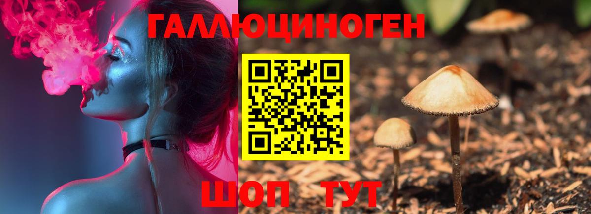 Псилоцибиновые грибы GOLDEN TEACHER Сочи